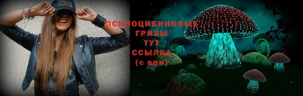 spice Алзамай