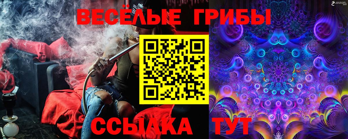 Псилоцибиновые грибы MAGIC MUSHROOMS  Вход с VPN  Аргун  Галлюциногенные грибы Cubensis 