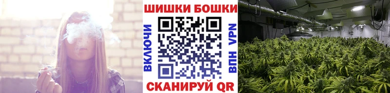 Конопля марихуана Аргун